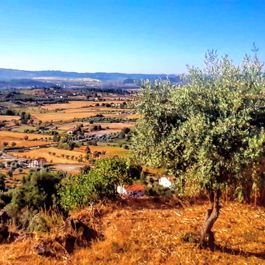 Appartement Casa Dr. Saba Belmonte (Castelo Branco)