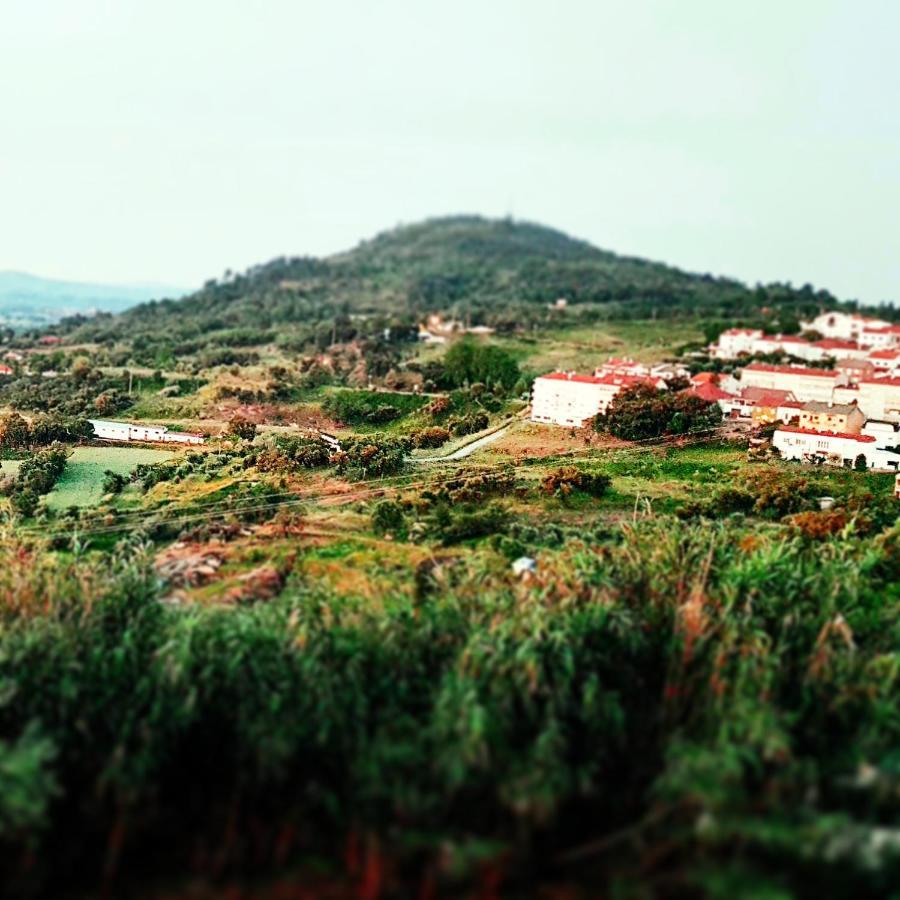 Casa Dr. Saba Apartment